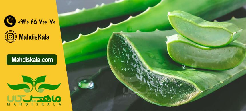 خواص گیاه آلوئه ورا